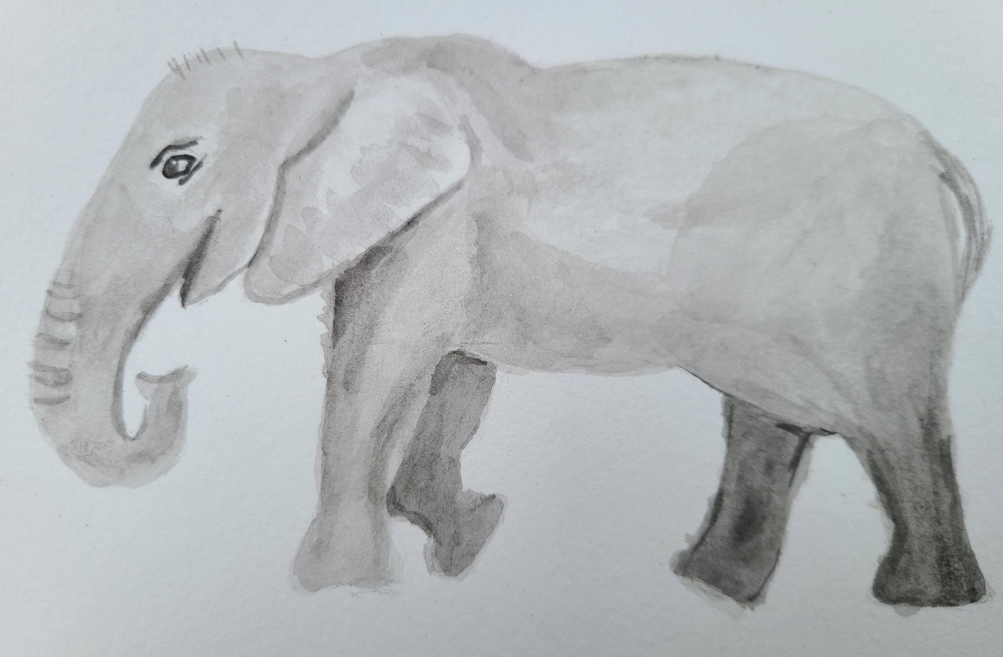 elephant1 (2)